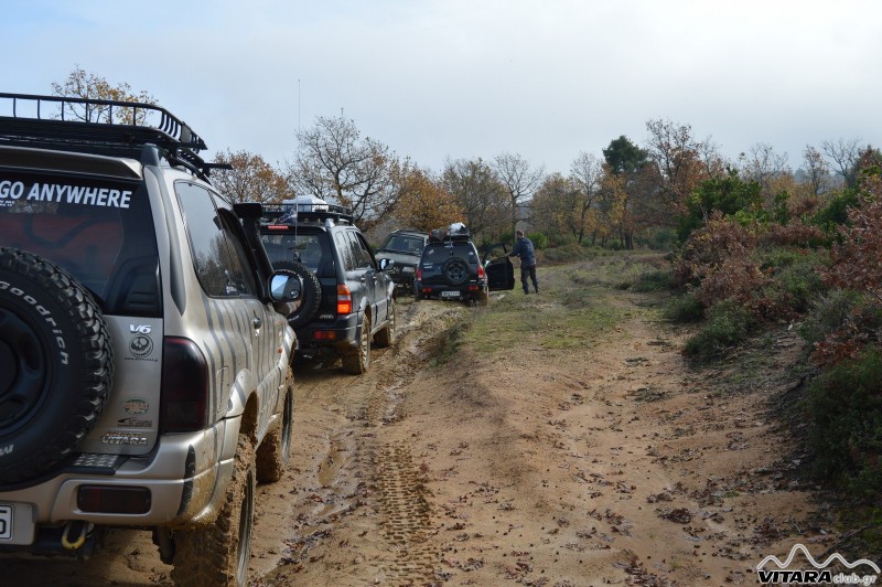 DSC_3115 Vitaraclub.gr_B.Ευβοια_29.11.2014.JPG