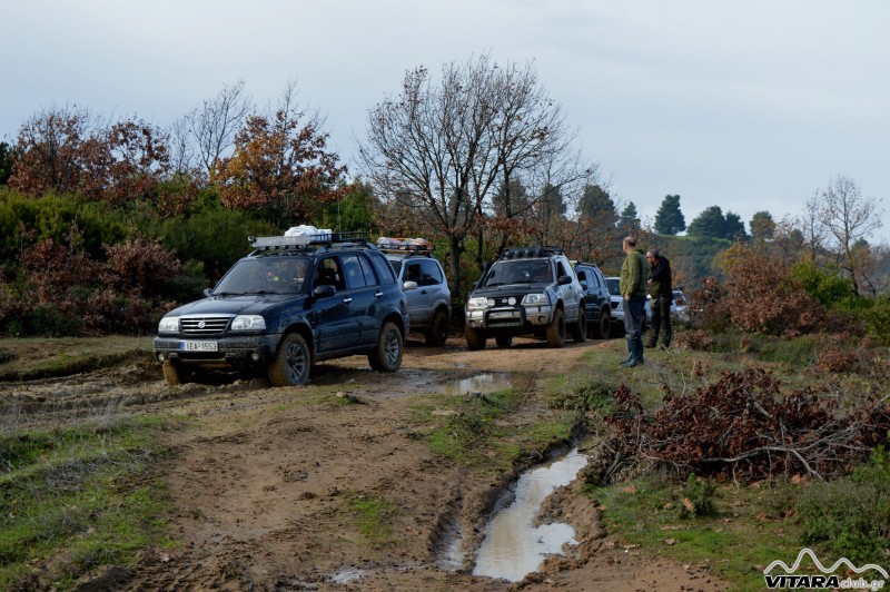 DSC_3119 Vitaraclub.gr_B.Ευβοια_29.11.2014.JPG
