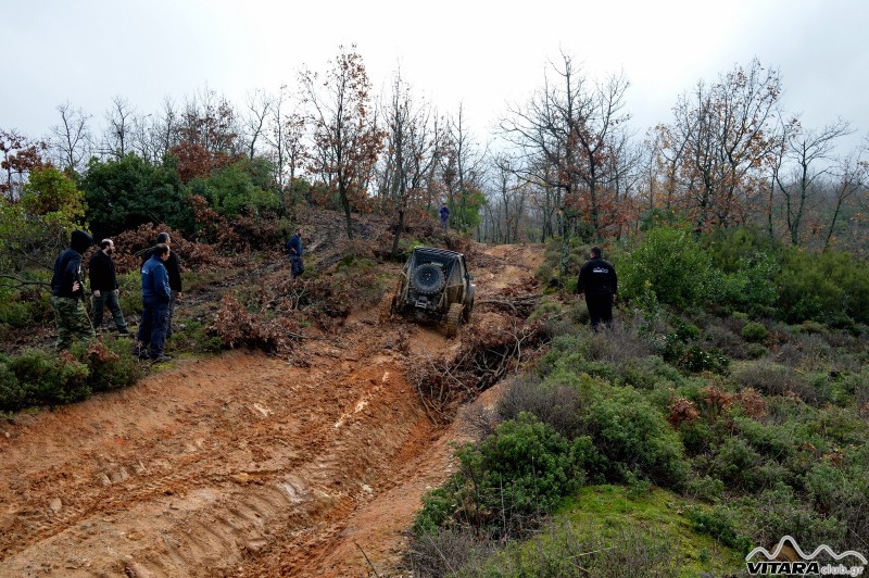 DSC_3314 Vitaraclub.gr_B.Ευβοια_29.11.2014.JPG