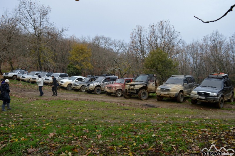 DSC_3850 Vitaraclub.gr_B.Ευβοια_29.11.2014.JPG