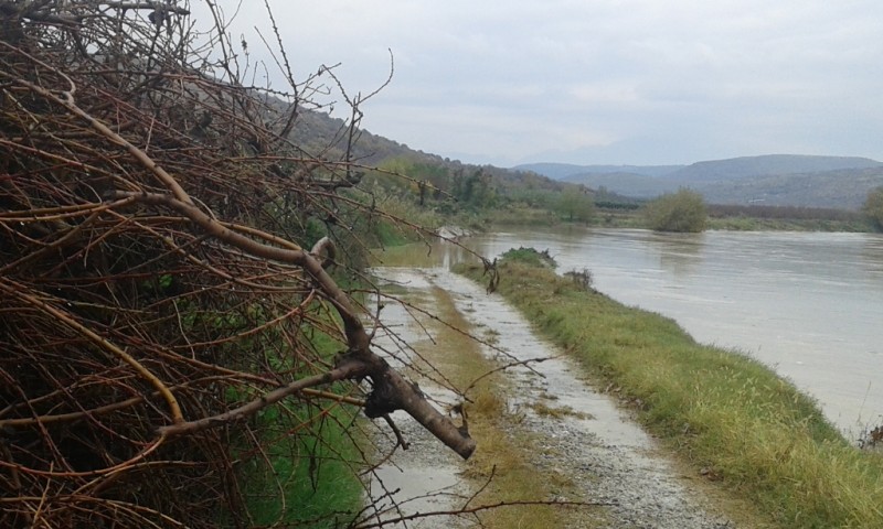 20141109_103310.jpg