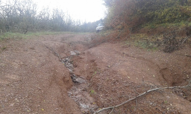 20141109_111937.jpg