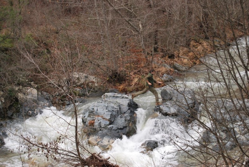 DSC_0058.jpg