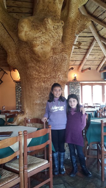 20141206_140845 (337 x 600).jpg