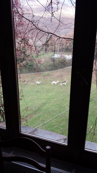 20141206_153122 (337 x 600).jpg