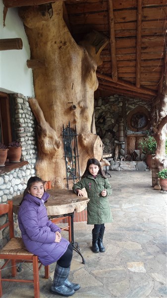 20141206_154303 (337 x 600).jpg