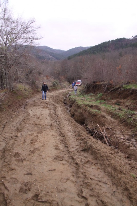 2014_12_07_7138.JPG