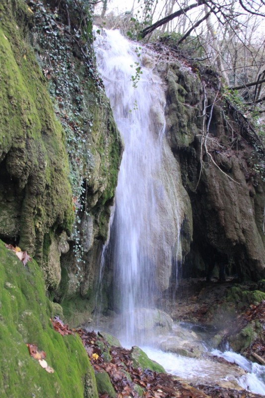 2014_12_07_7564.JPG