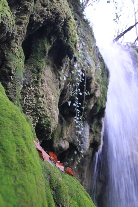 2014_12_07_7571.JPG