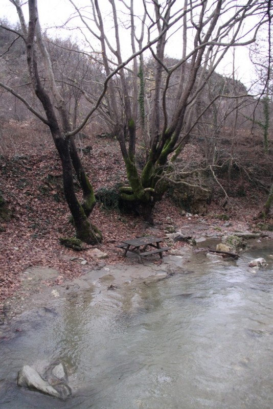 2014_12_07_7504.JPG