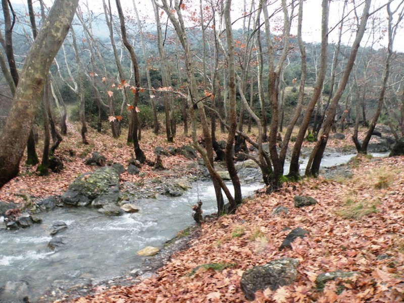 DSCN9254v.jpg