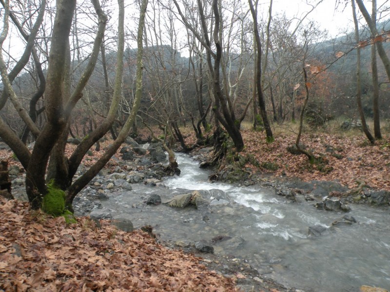 DSCN9255v.jpg