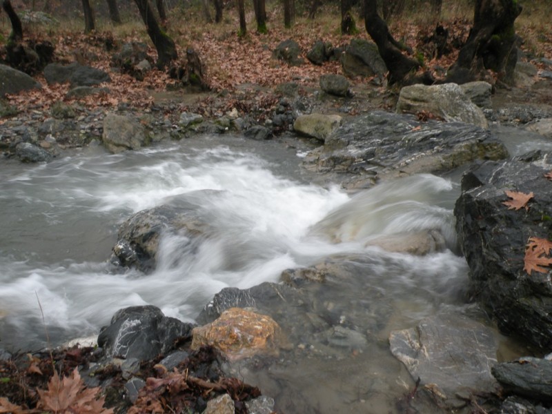 DSCN9259v.jpg