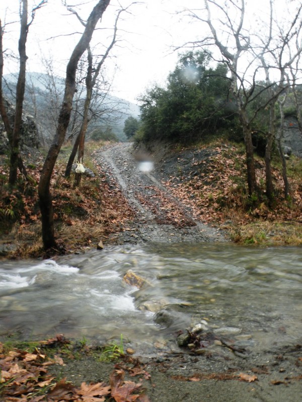 DSCN9265v.jpg