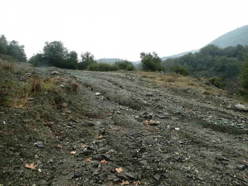 DSCN9268v.jpg