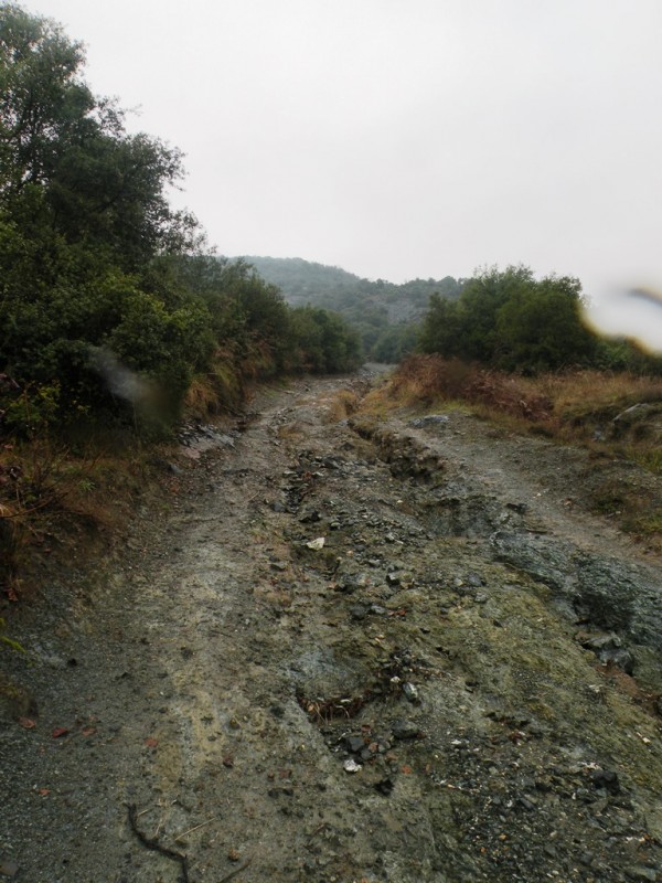 DSCN9273v.jpg