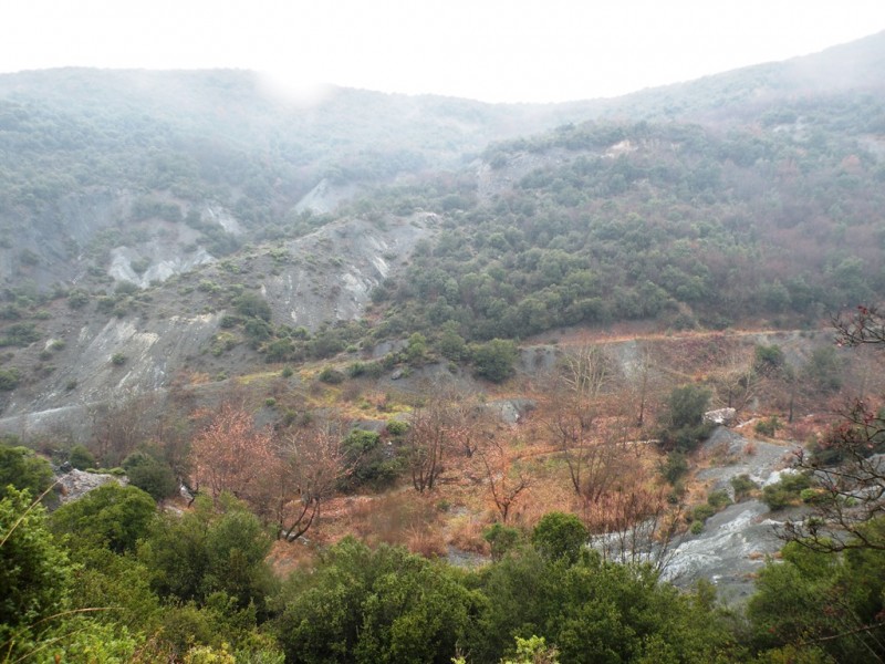 DSCN9275v.jpg