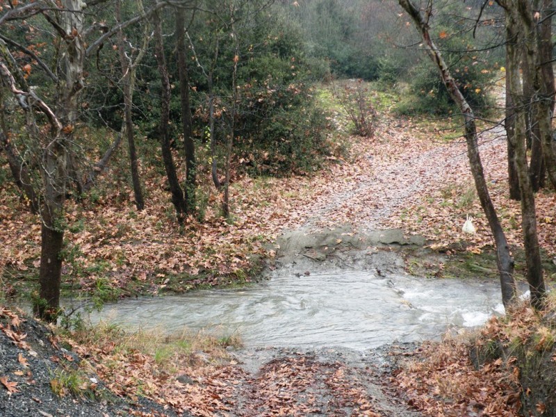 DSCN9280v.jpg
