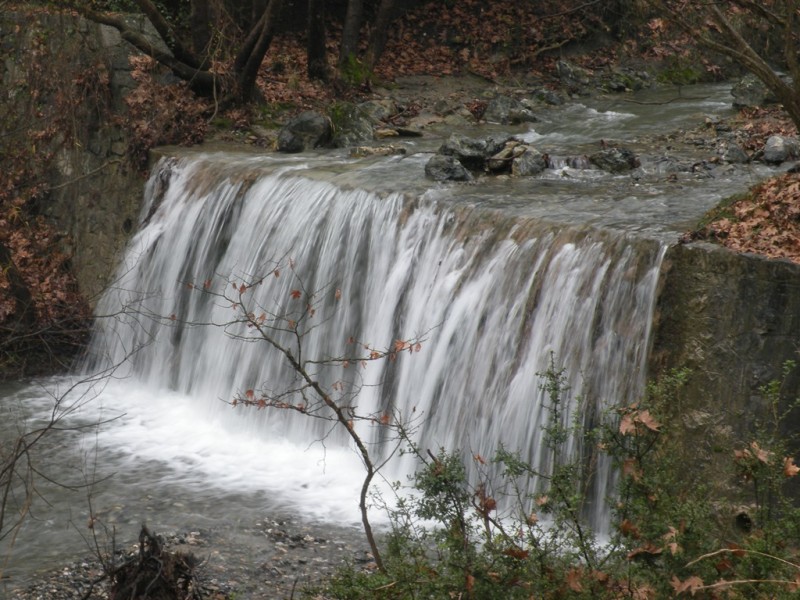 DSCN9283v.jpg