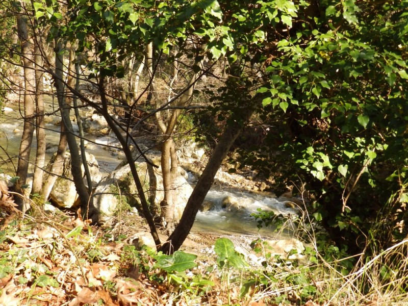 PC143748.jpg
