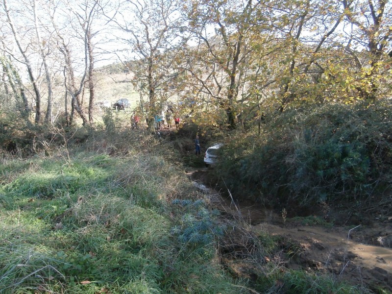 PC140137.JPG