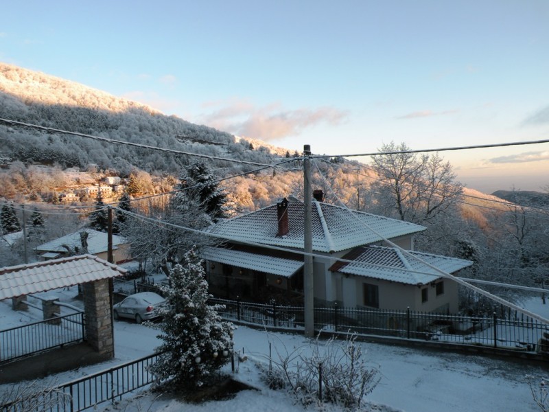 DSCN9517v.jpg
