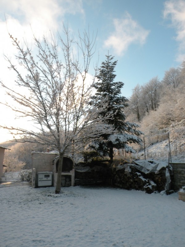 DSCN9520v.jpg