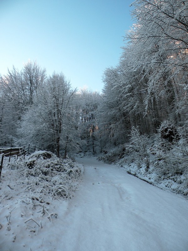 DSCN9536v.jpg