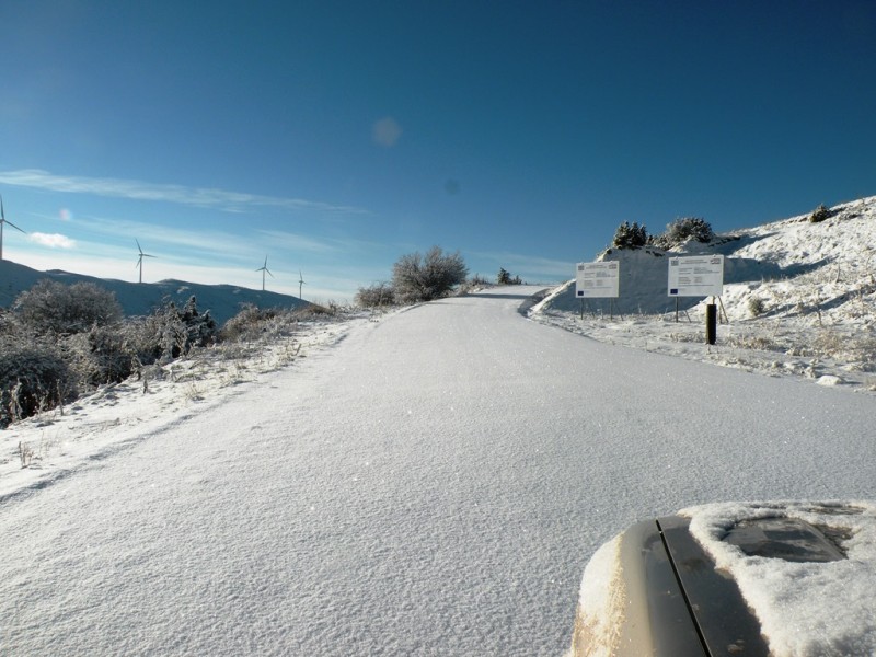 DSCN9551v.jpg