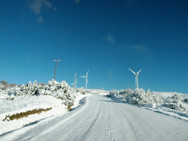 DSCN9552v.jpg