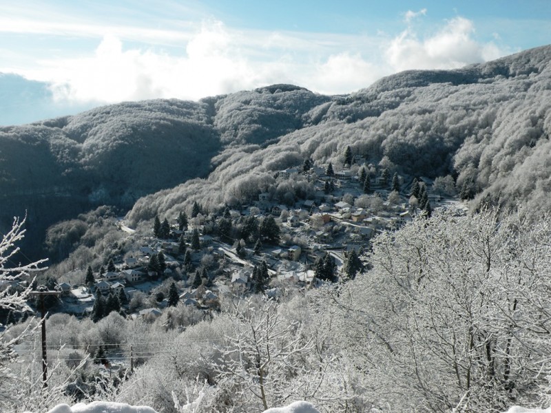 DSCN9580v.jpg