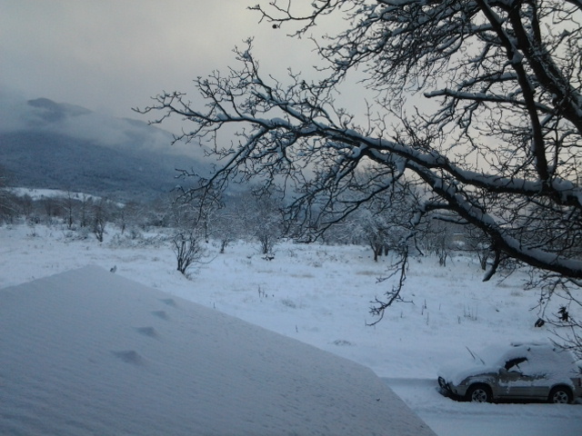 20141229_082306.jpg