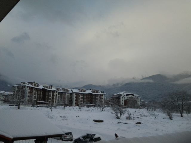 20141229_083118.jpg