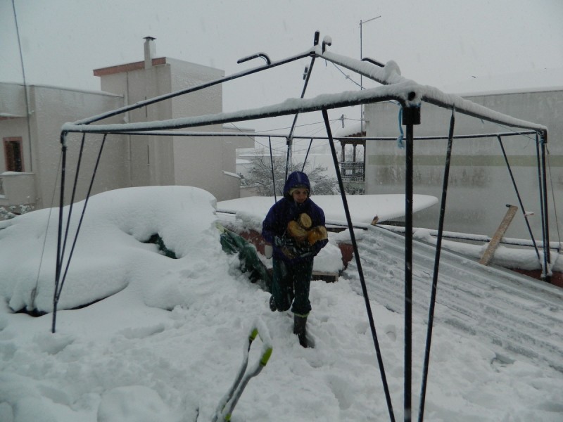 DSCN7118.jpg