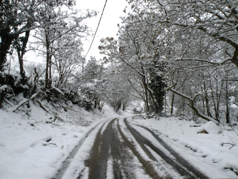DSCN9610v.jpg