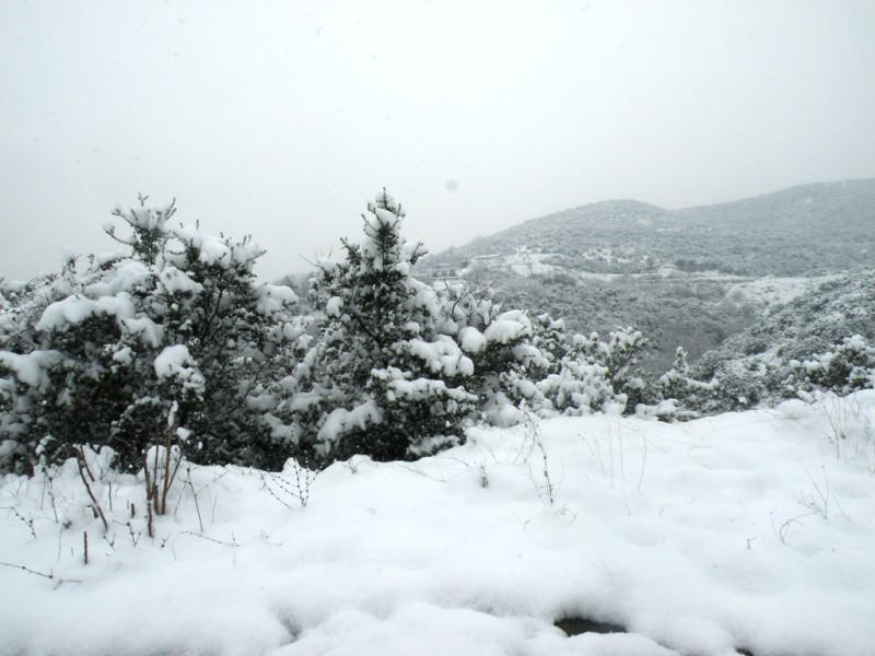 DSCN9612v.jpg