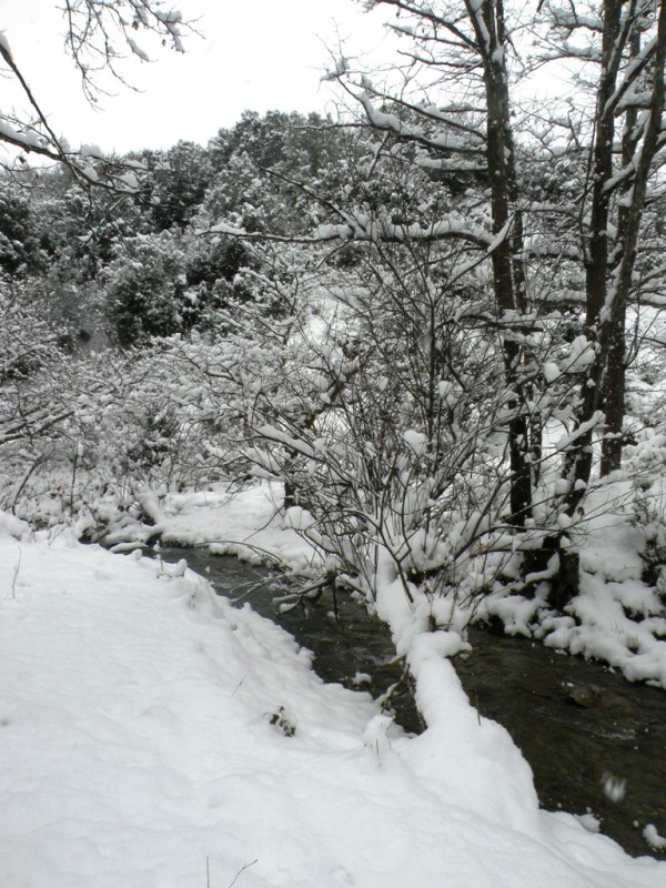 DSCN9618v.jpg
