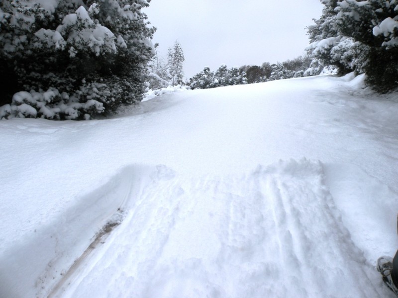 DSCN9643v.jpg