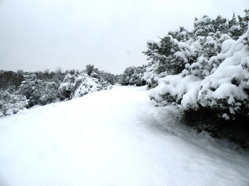 DSCN9644v.jpg