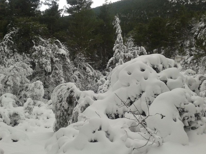 Copy of 20150102_114755.jpg