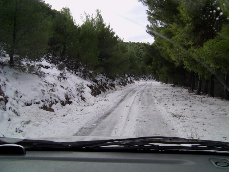mitikas (1).jpg