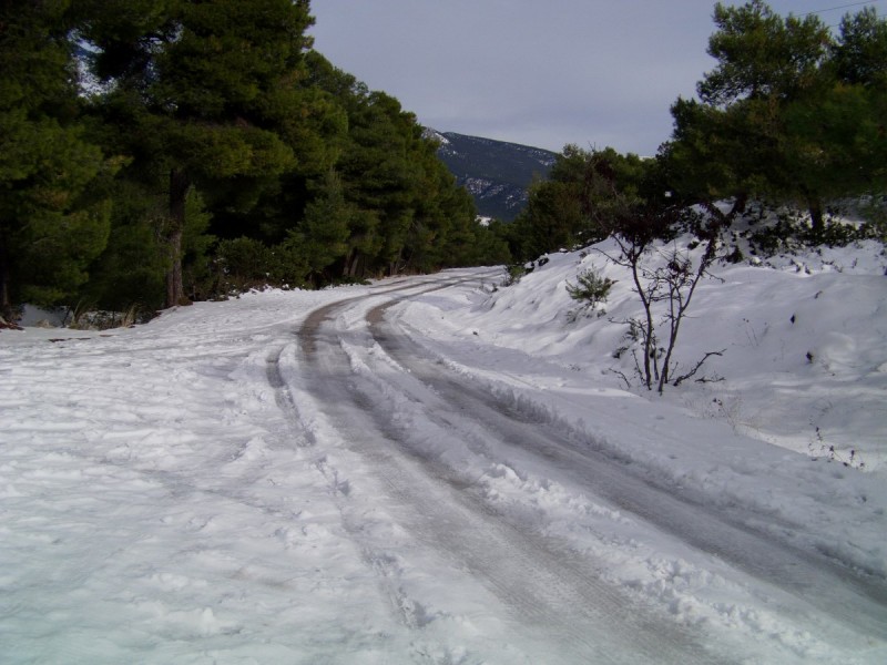 mitikas (2).jpg