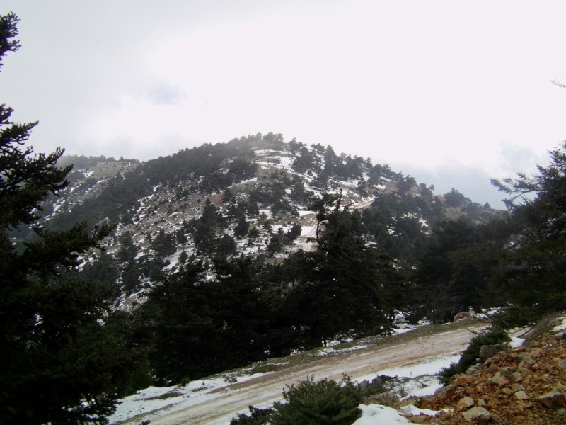 IMAG0010.jpg