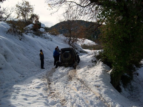 100_4539 (Αντιγραφή).JPG