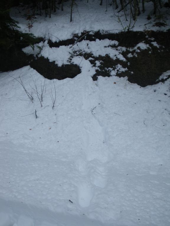 06_576x768.jpg