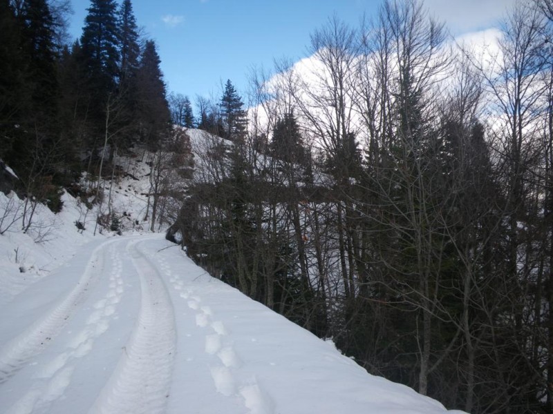 13_1024x768.jpg