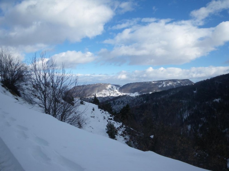 14_1024x768.jpg