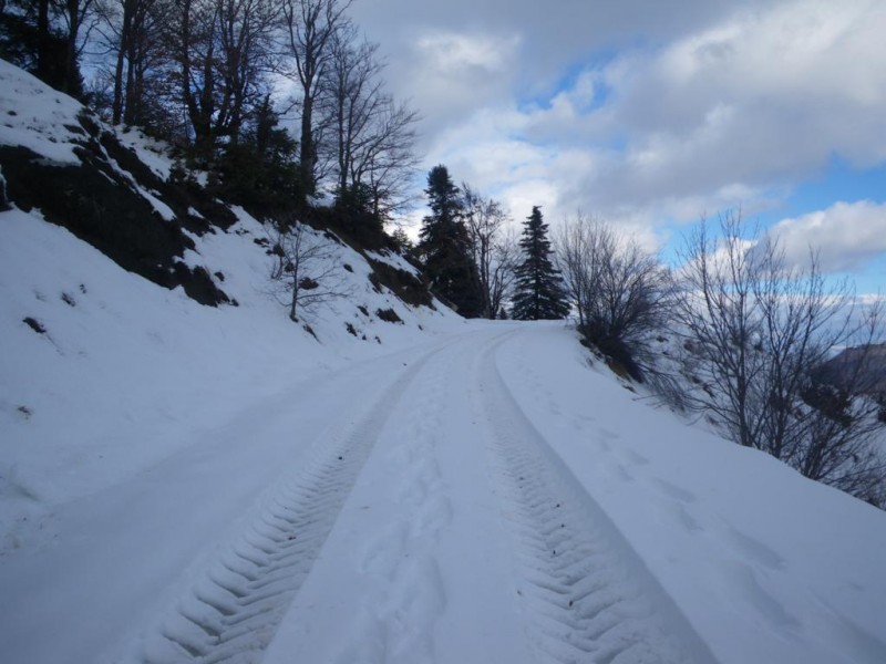 15_1024x768.jpg