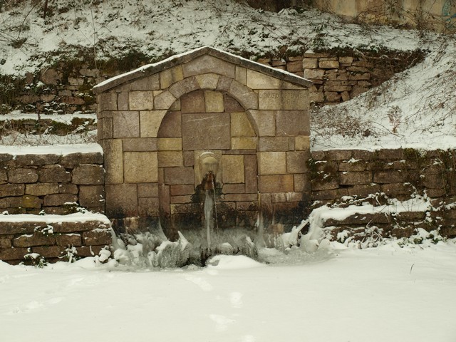 P1015851.jpg