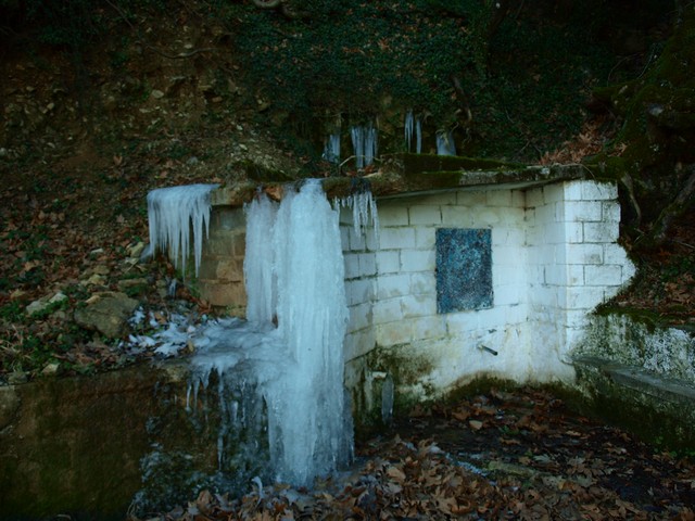 P1025941.jpg